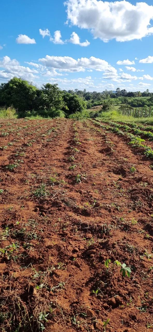 Terreno em Feira Nova-PE com 16 X 180m