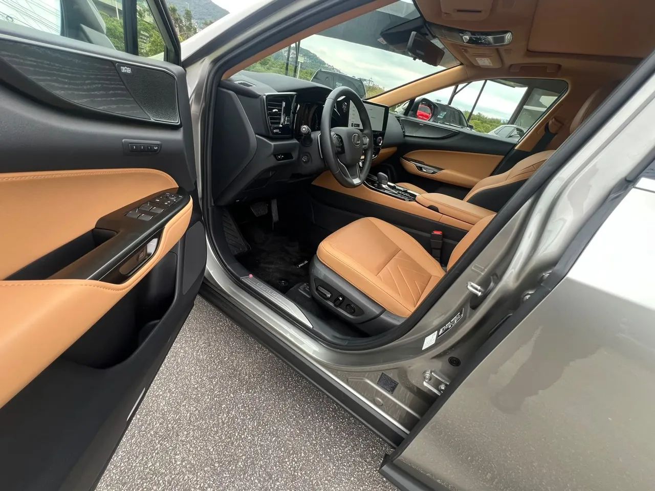 Lexus NX-450h+ AWD 2.5 16V Aut. (Híbrido), foto 16 de 20