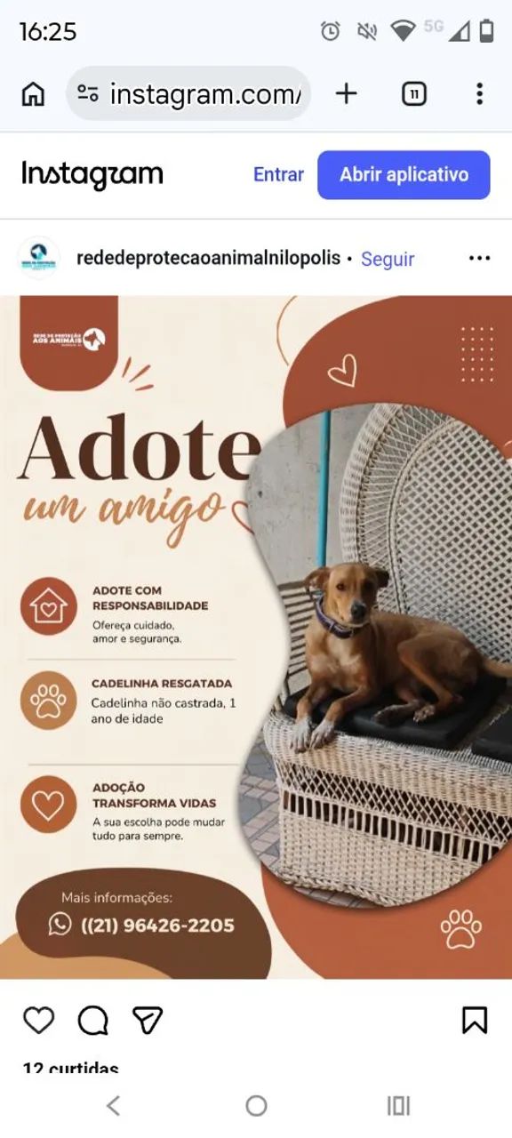 Doa - se cadela  - Foto 2