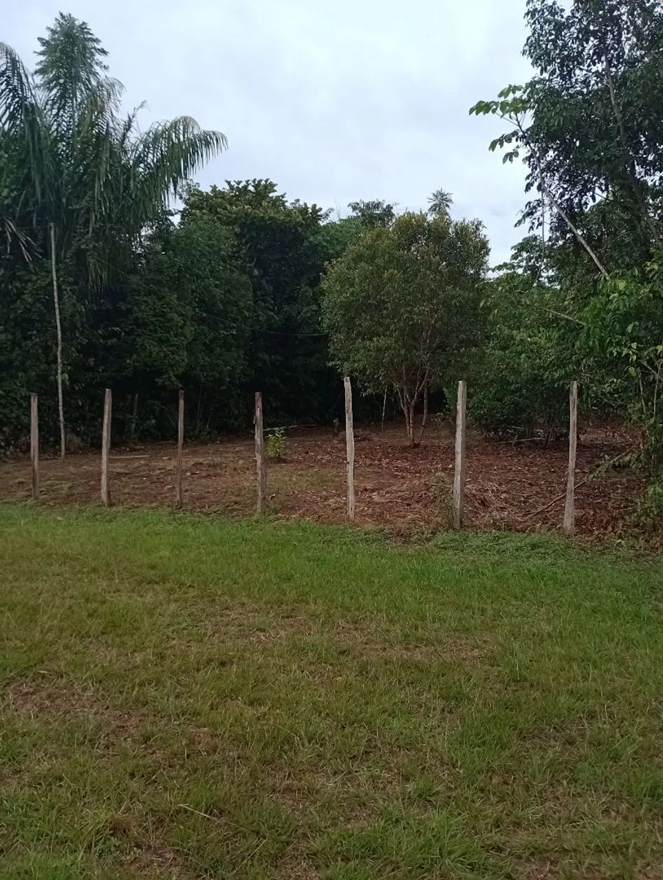 Terreno 