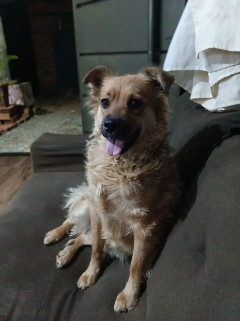 Doação 