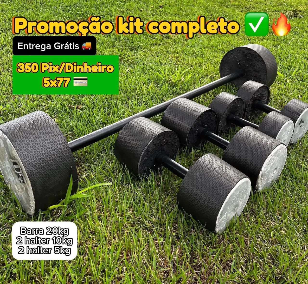 Halter e Anilha  - Foto 2