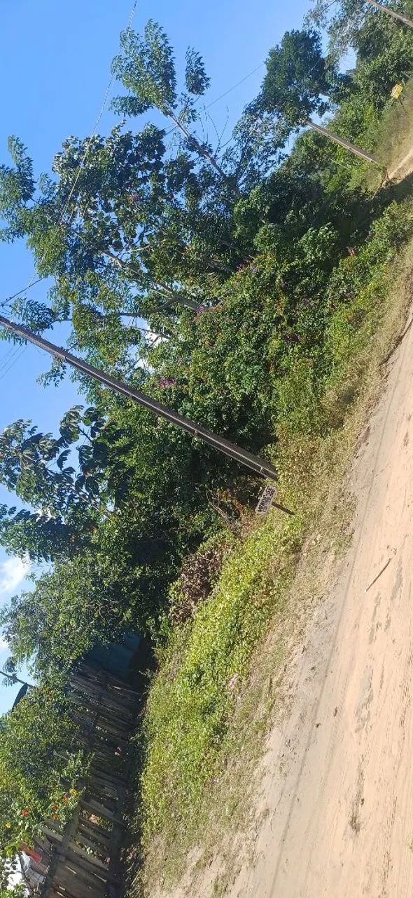Terreno no Campo Novo - Foto 3