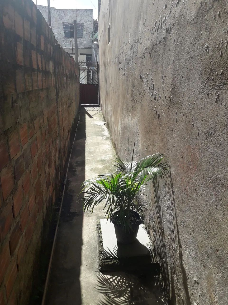 Venda de casa  - Foto 3