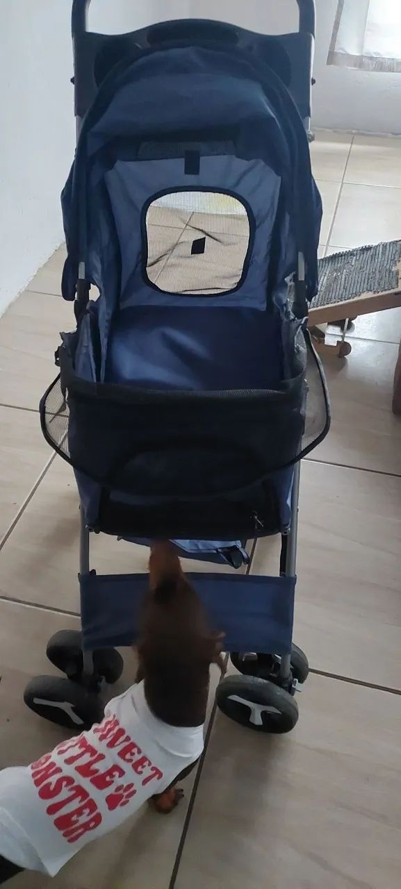 Carrinho para pet