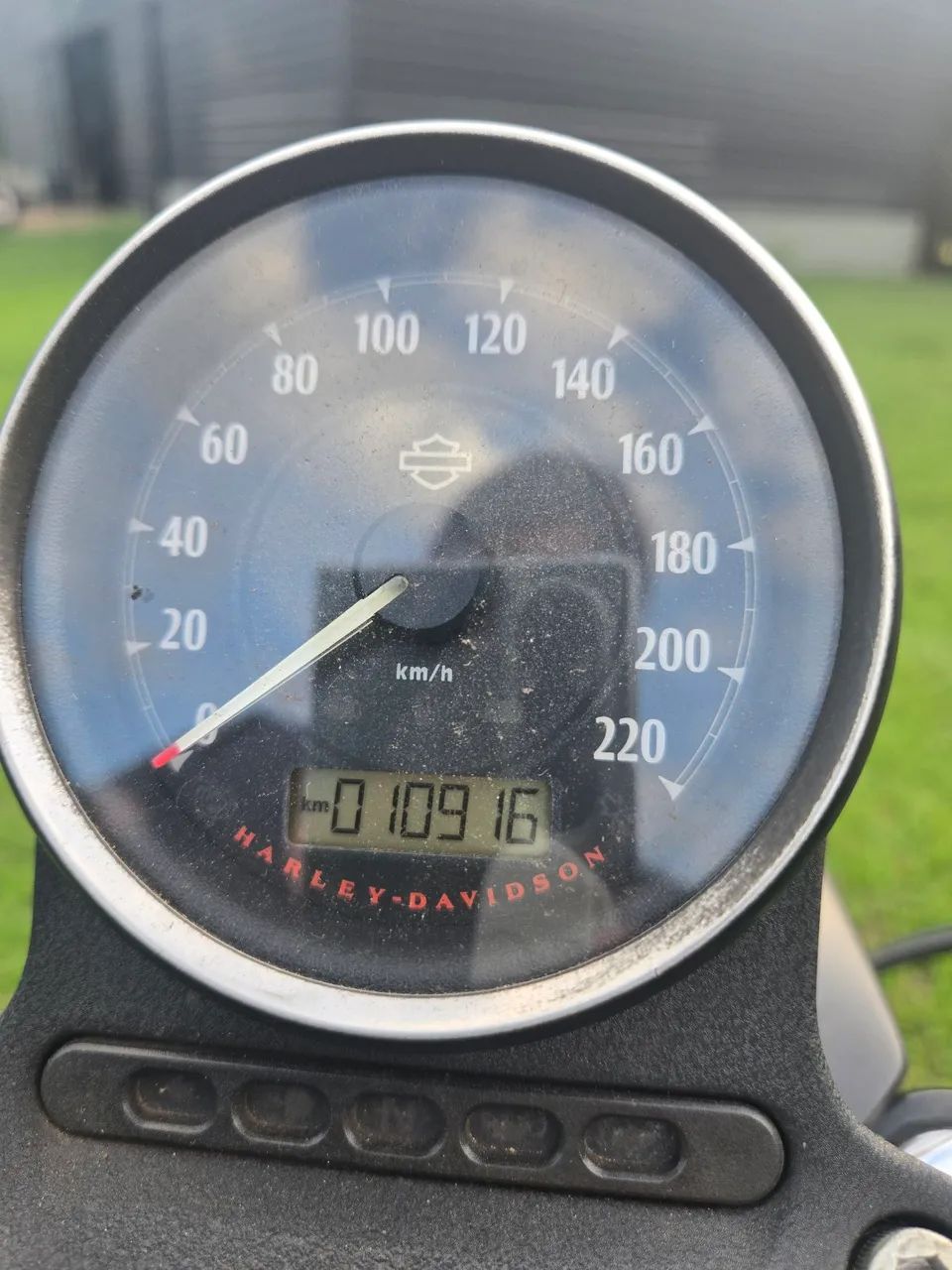 Iron 883 2010 - Foto 4