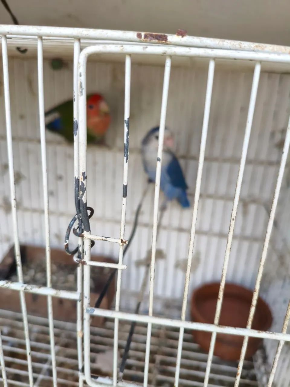 Poleiros 