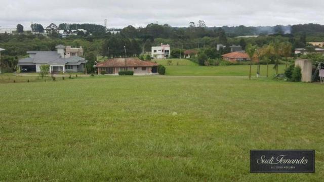 Terreno à venda, Campo Largo da Roseira, São José dos Pinhais. - Foto 4
