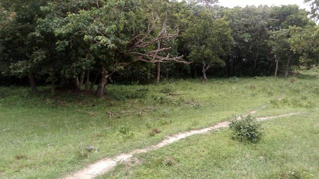 Fazenda 10 km da cidade Cuiaba - pedra 90 - Foto 11