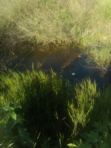 Vendo terreno aqui em São Sebastião Alagoas - Foto 9