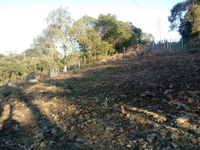 Excelente area para chacrinha com 4.675m² ( 85:00x 55:00 m) - Foto 7