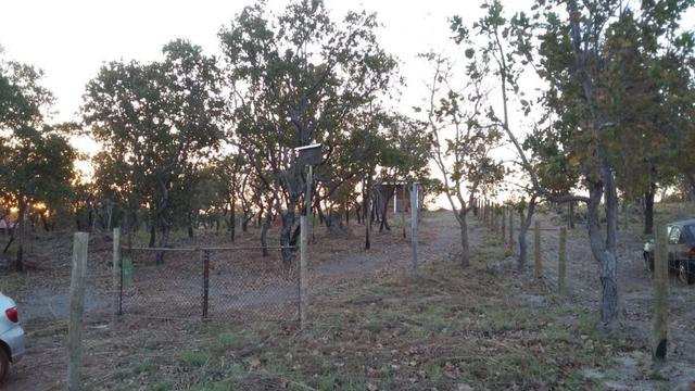 Vendo/Troco chacara na estrada de chapada, R$ 135.000,00 (Pego carro e casa) - Foto 2