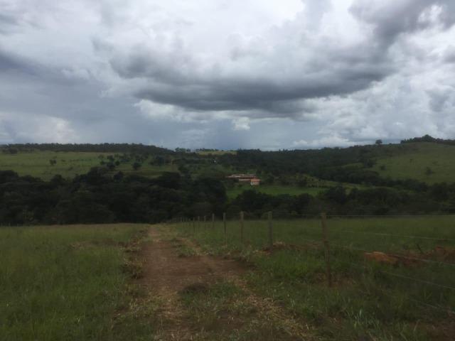 4 Alqueires c/ Rio p/ Lotear, Haras, Lazer, Gado. 40 km Anápolis-GO - Foto 13