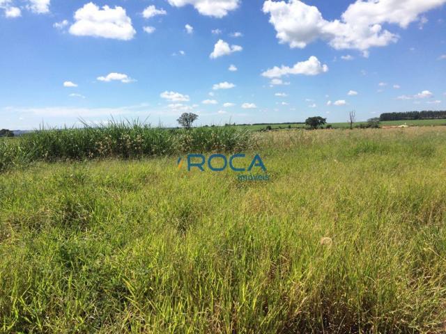 Rural - Não tem bairro - Foto 12
