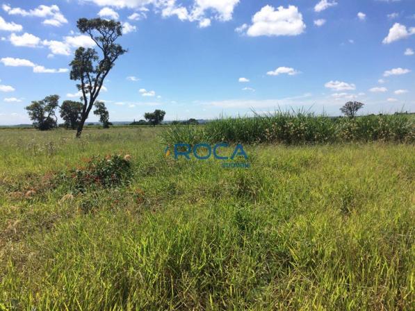 Rural - Não tem bairro - Foto 7