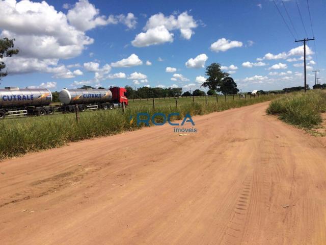 Rural - Não tem bairro - Foto 10