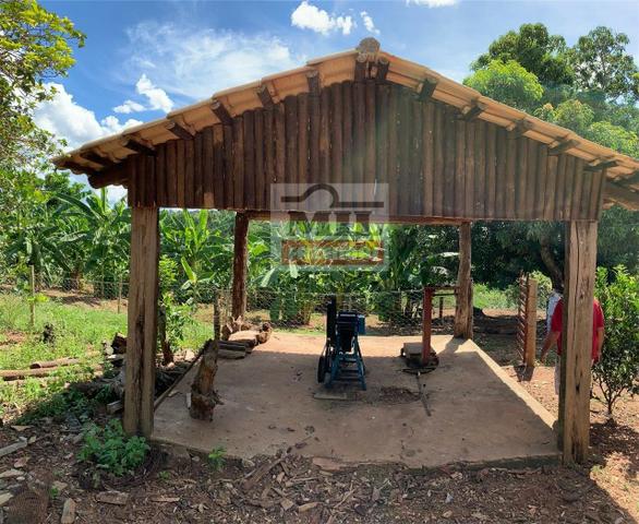 Venda ou Troca por Terra Maior,Chácara 8 alqueires e 25 litros - Bela Vista de Goiás - Foto 15