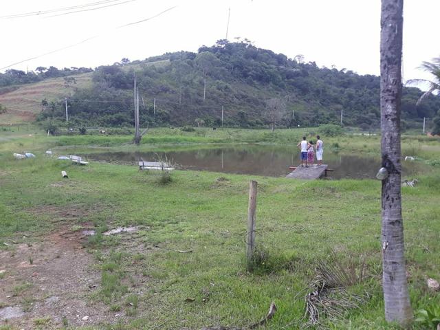 Lindo sítio em Mauá ( Guia de Pacobaíba) oportunidade!!! - Foto 14