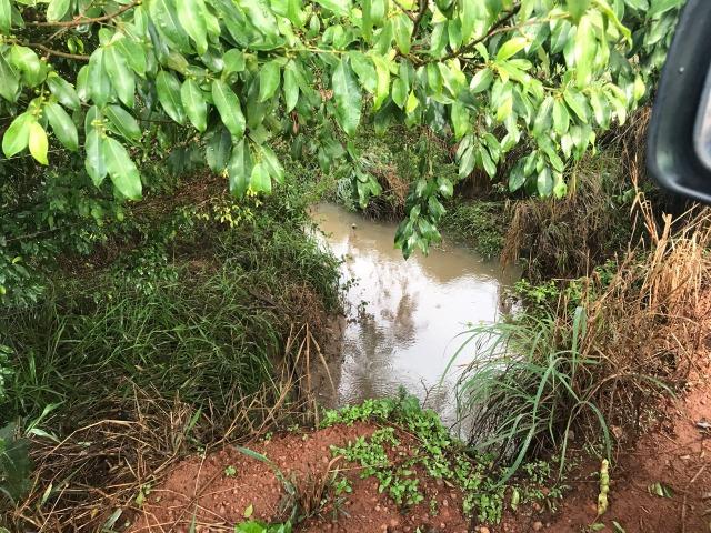 Fazenda plana e rica em água, 24 Alqueires (116.16 ha ) Bela Vista de Goias - Foto 5