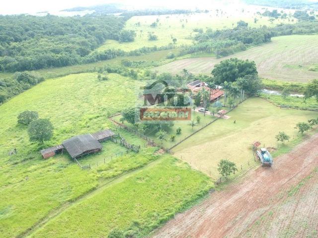 Fazenda 30 alqueires ( 145,20 ha ) Guapó-GO soja e pecuária - Foto 12