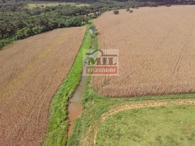 Venda ou Troca por Terra Maior,Chácara 8 alqueires e 25 litros - Bela Vista de Goiás - Foto 18