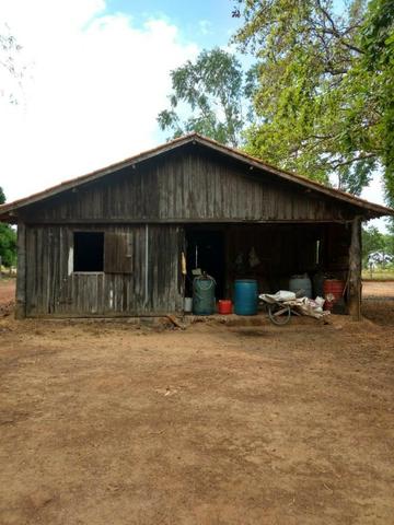 Fazenda de 216 alqueires 1.045,44 hectares- Miracema do Tocantins-TO - Foto 4