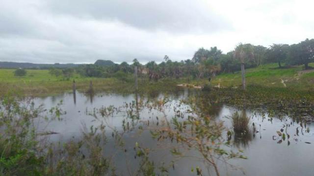 300 Alqs 200 Em Pasto Excelente Fazenda Paraúna GO - Foto 16