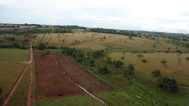 Fazenda plana e rica em água, 24 Alqueires (116.16 ha ) Bela Vista de Goias - Foto 16