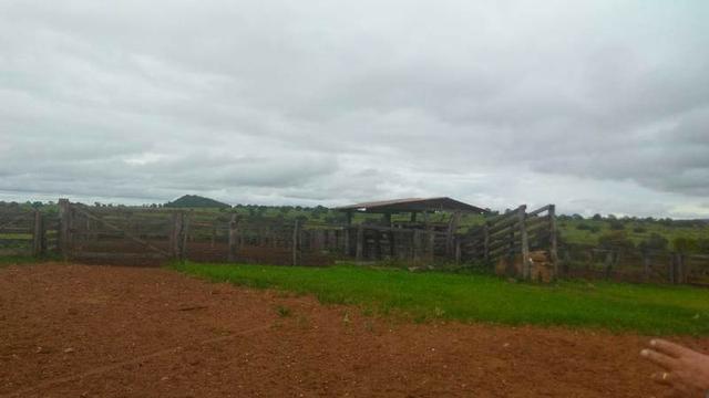 300 Alqs 200 Em Pasto Excelente Fazenda Paraúna GO - Foto 12