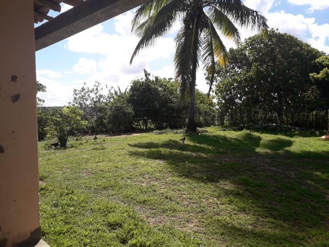 Fazenda 150 tarefas em Conde - Foto 14