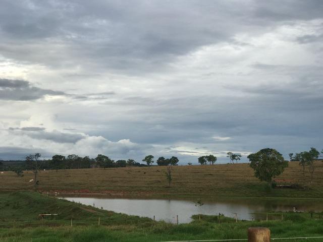 Fazenda plana e rica em água, 24 Alqueires (116.16 ha ) Bela Vista de Goias - Foto 14