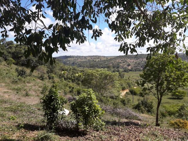 Fazenda 150 tarefas em Conde - Foto 5