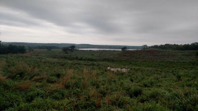 Fazenda beira do lago a melhor da região - Foto 17