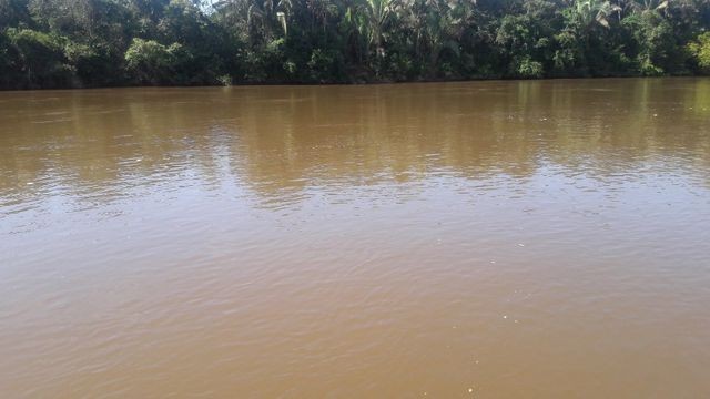 29,00 Hectares, Beira Rio Sepotuba, um Sonho-Tangará, Ligue Agora!!! - Foto 3