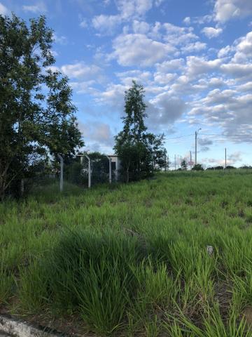 Lote 200m2