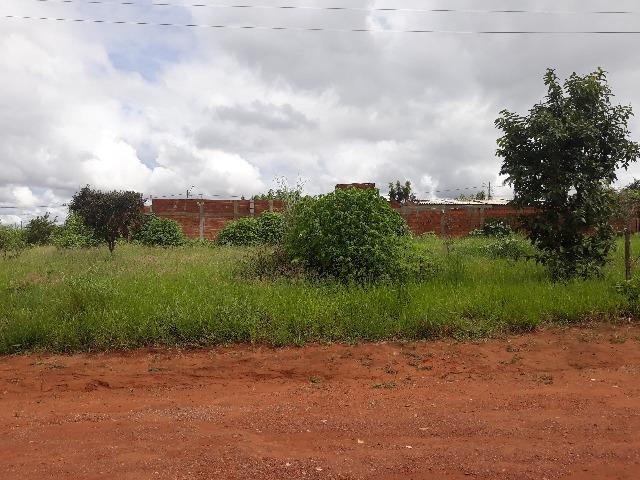 Vendo 2 lotes juntos na qd 2 do estancia quintas da alvorada - Foto 2