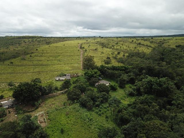 Fazenda- 69,33 hectares- Santo Antônio do Descoberto