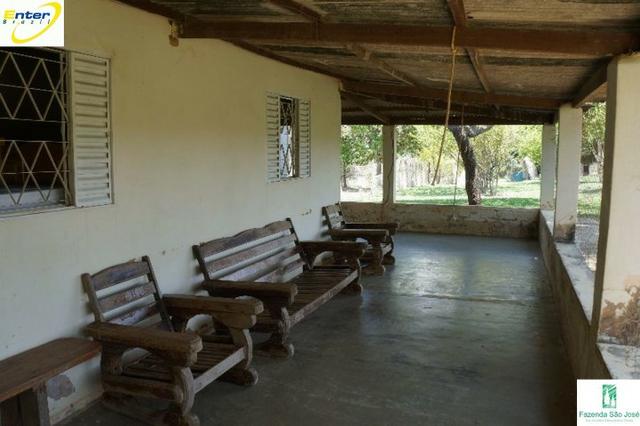 Fazenda- 69,33 hectares- Santo Antônio do Descoberto - Foto 3