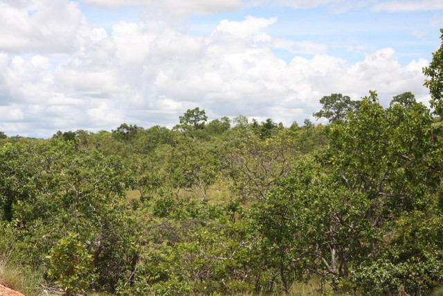 Terreno de 16 hectares em Curvelo - Foto 20