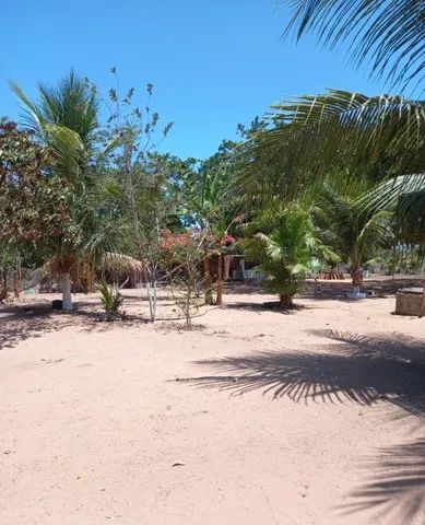 Vendo um sítio localizado em paraipaba  - Foto 4