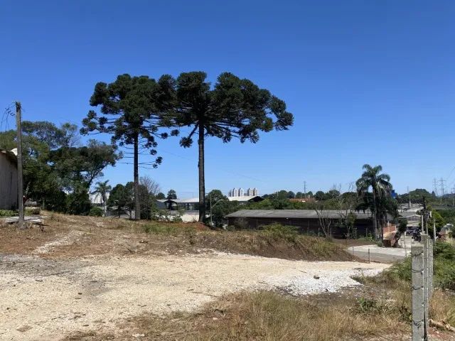 Terreno Comercial - Ótima Localização  CIC c/ BR 277 - 2.000m2 - Preço por m2 - Foto 4
