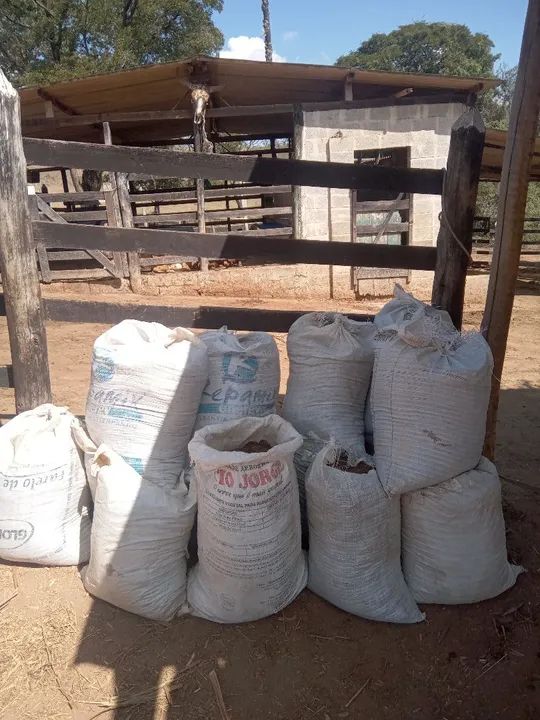 Esterco de gado  - Foto 3