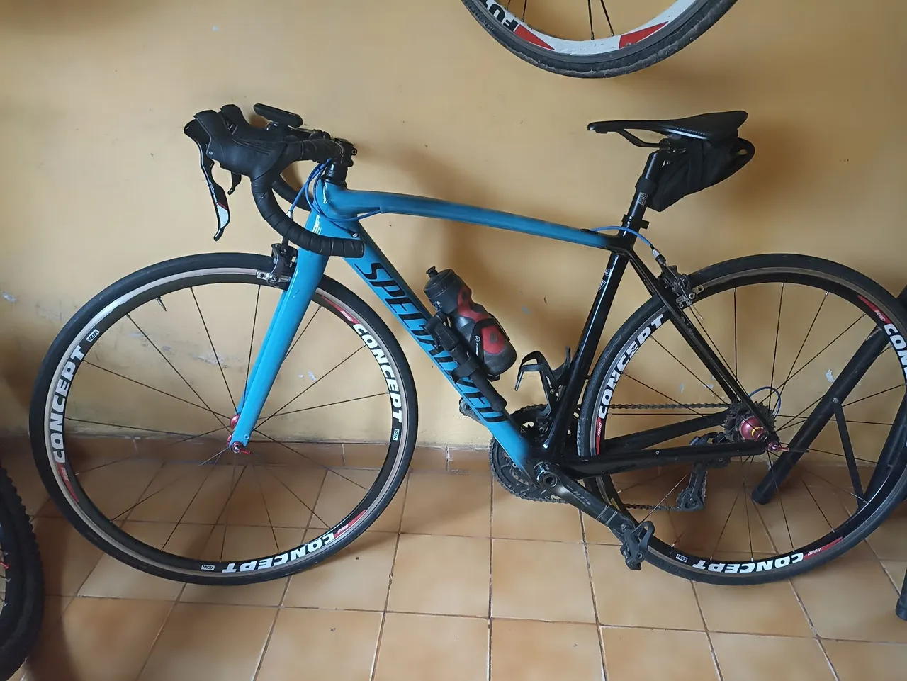 Bicicleta Specialized Concept carbono