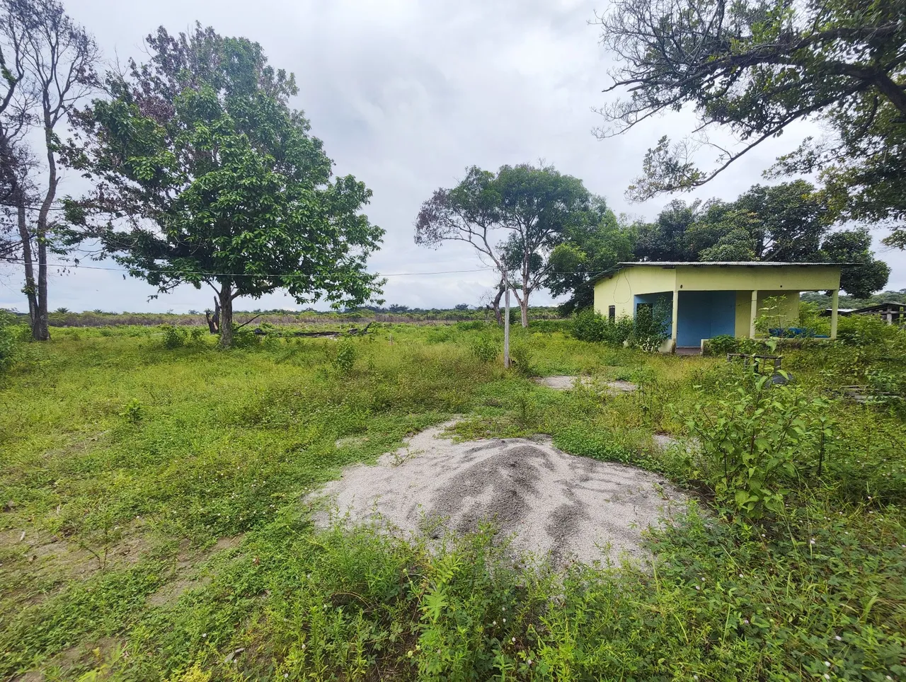 Fazenda 960ha