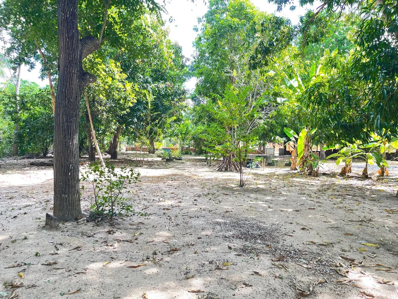 Foto - Teresina - Centro