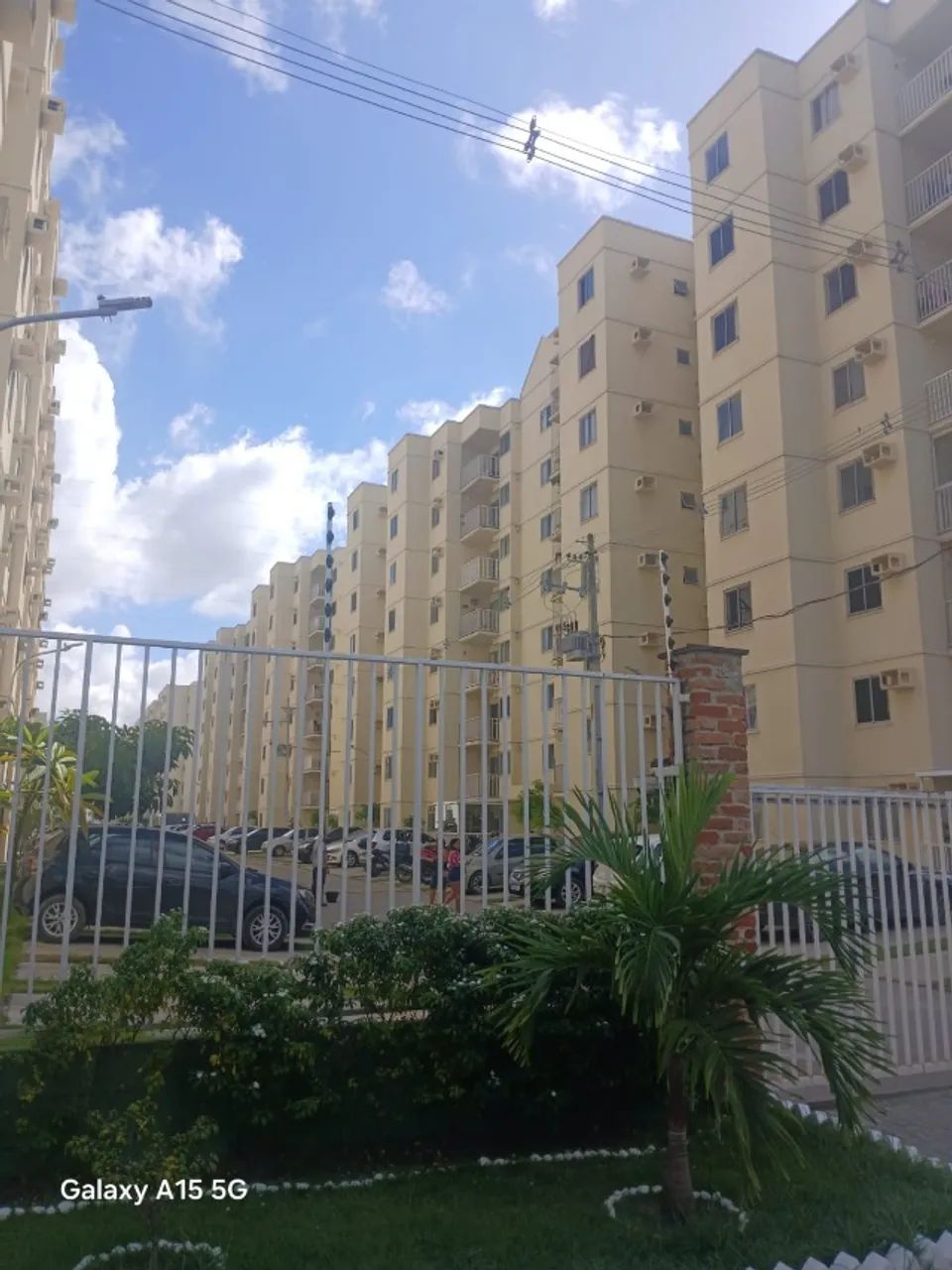 Foto - Paulista - Centro