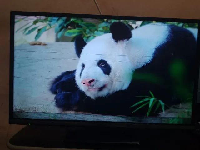 SMART TV 32  Polegadas Panasonic - Foto 2