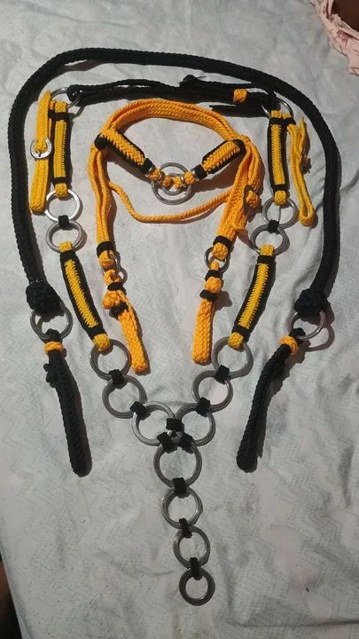 Tráia de frente para cavalo e burro 