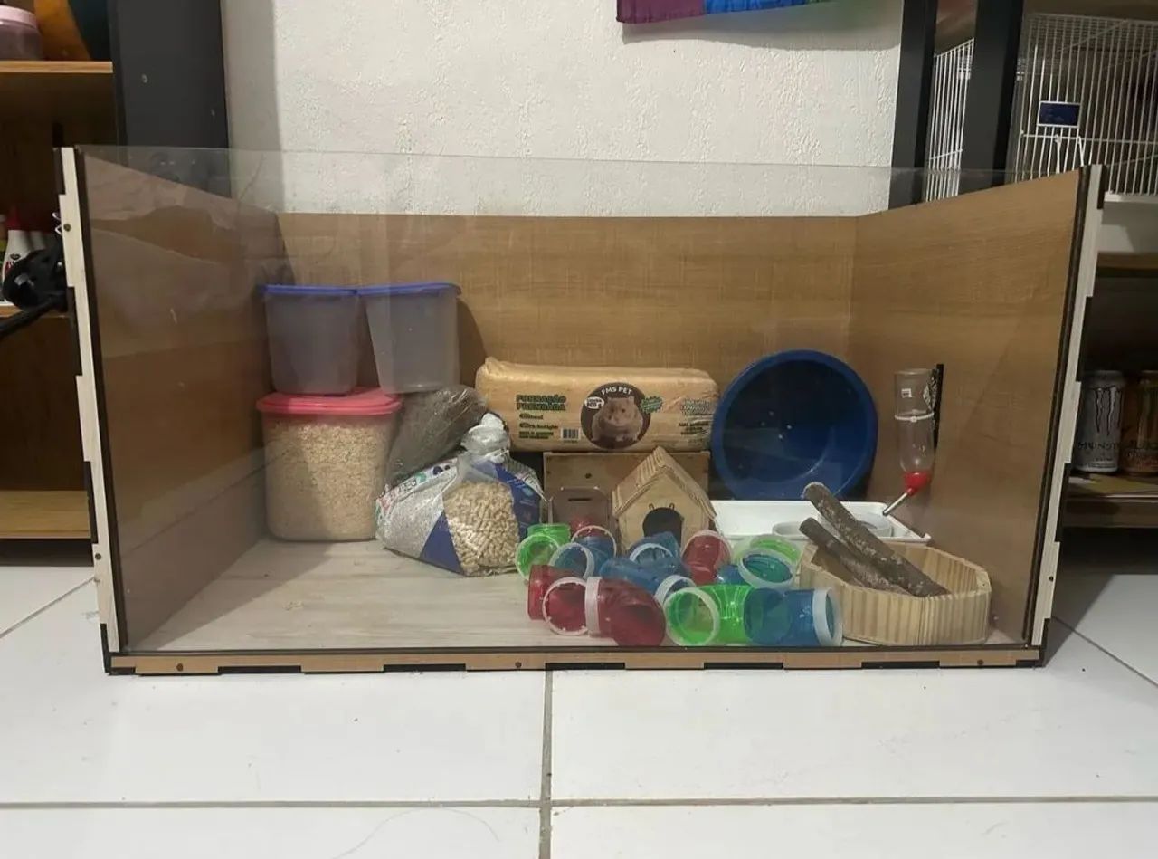 Terrario + gaiola transportadora para roedores