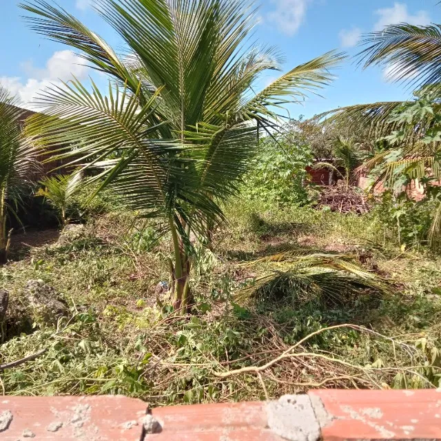 Vende-se terreno no jardim progresso
